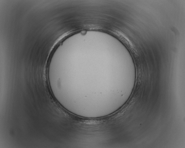 X0000116371182200912291704