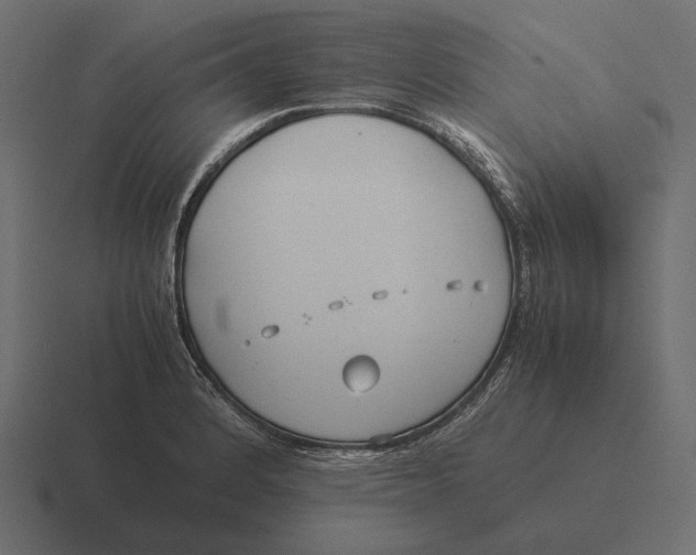 X0000116371184200912291704