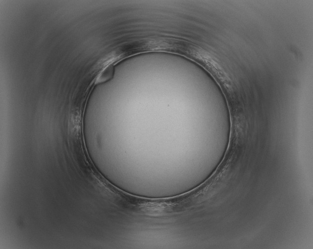 X0000116371185200912291704