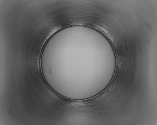 X0000116371186200912291704