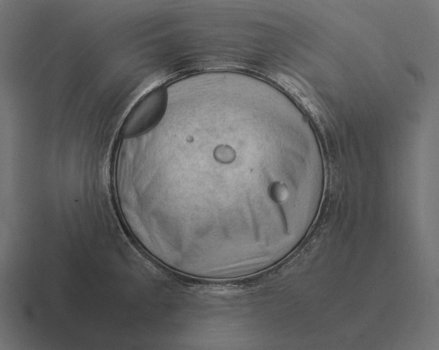 X0000116371189200912291704