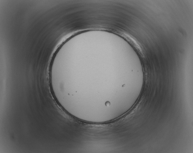 X0000116371192200912291704