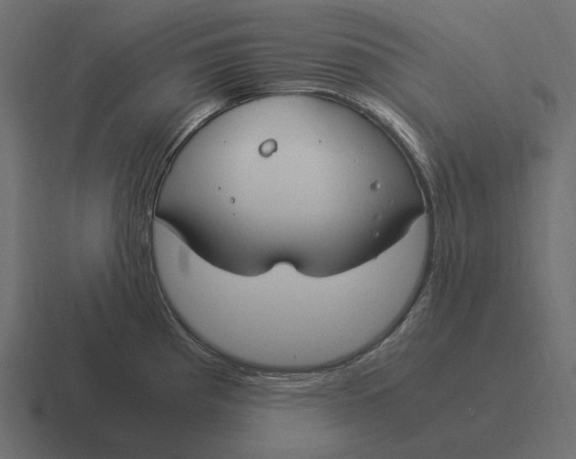 X0000116371193200912291704