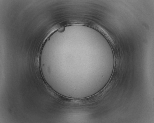 X0000116371194200912291704