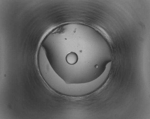 X0000116371196200912291704