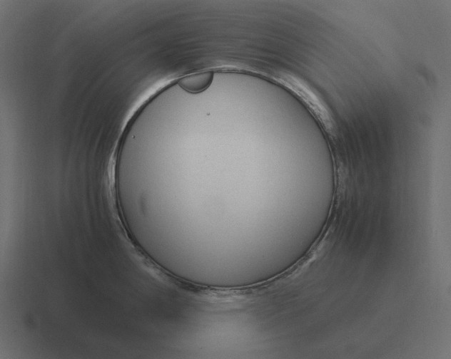 X0000116371198200912291704