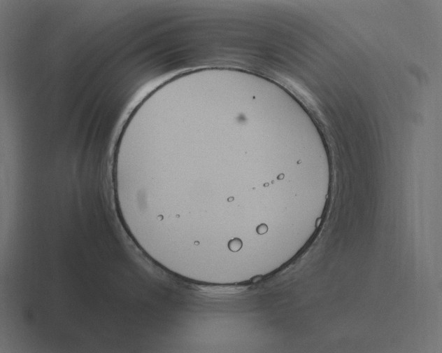 X0000116371200200912291704