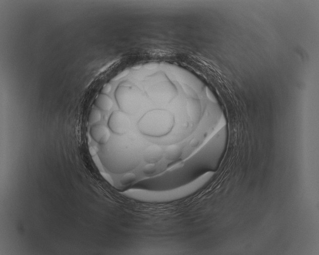 X0000116371205200912291704