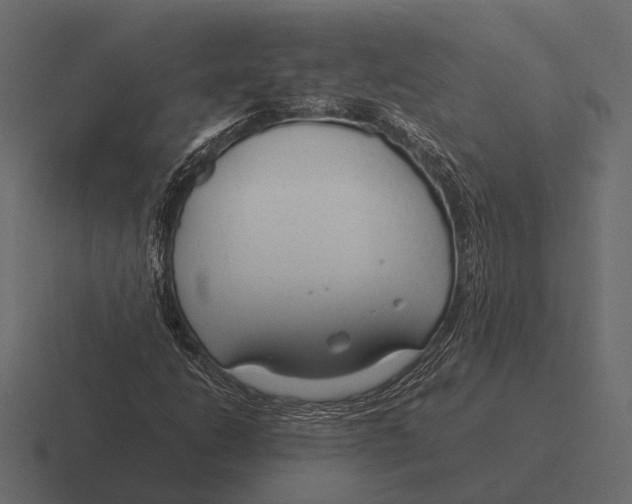 X0000116371206200912291704