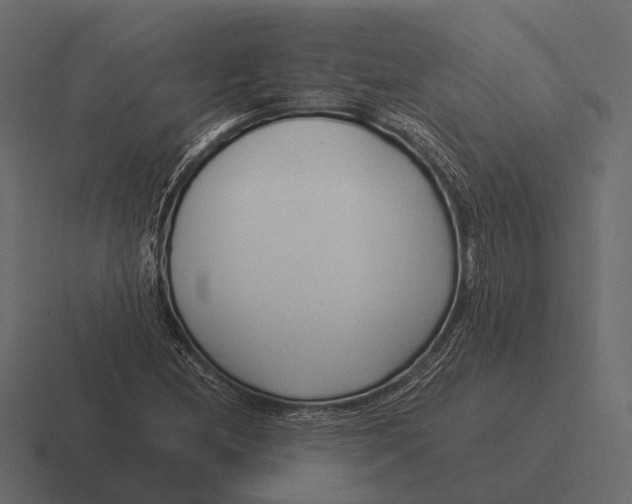 X0000116371212200912291704