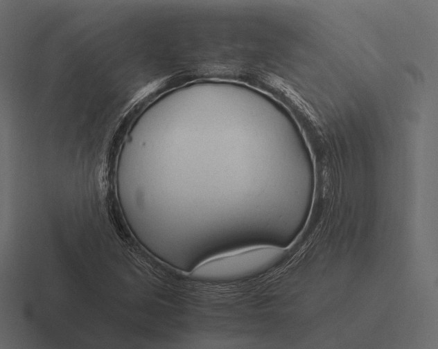 X0000116371213200912291704