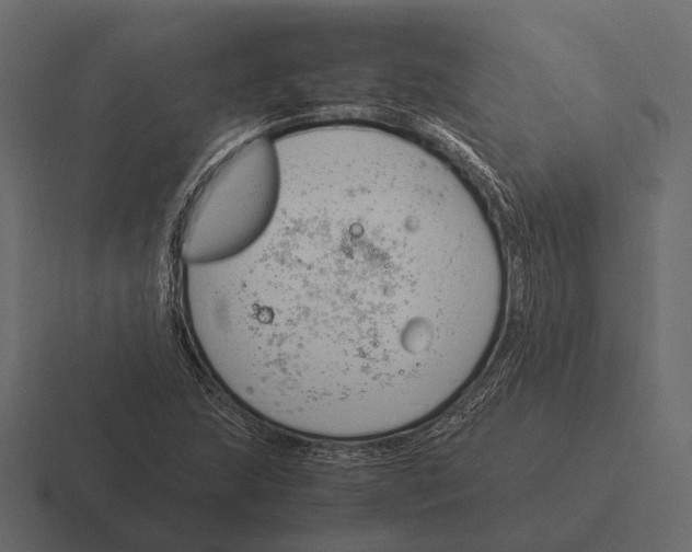 X0000116371215200912291704