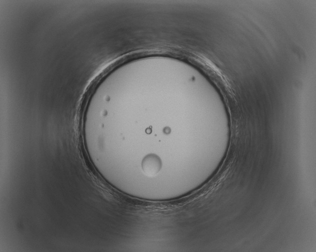 X0000116371216200912291704