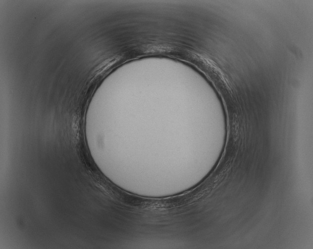 X0000116371217200912291704