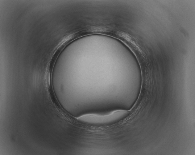 X0000116371221200912291704