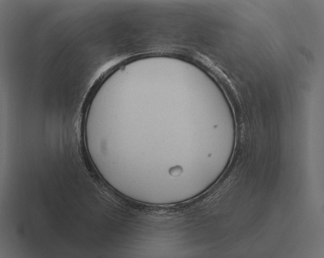 X0000116371222200912291704