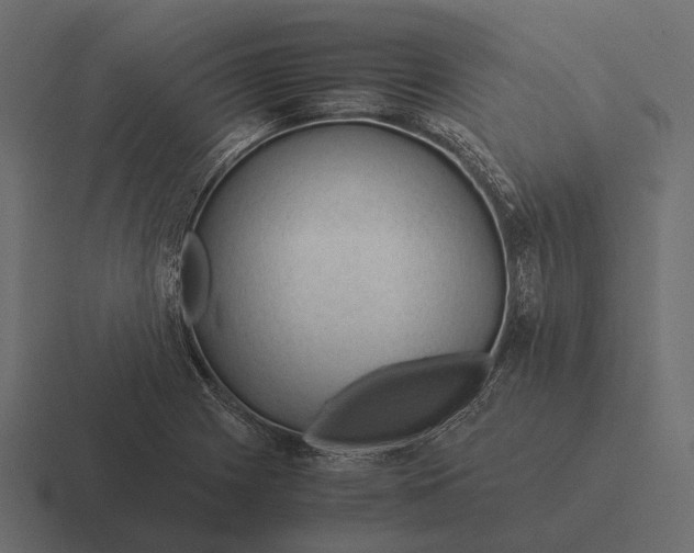 X0000116371225200912291704