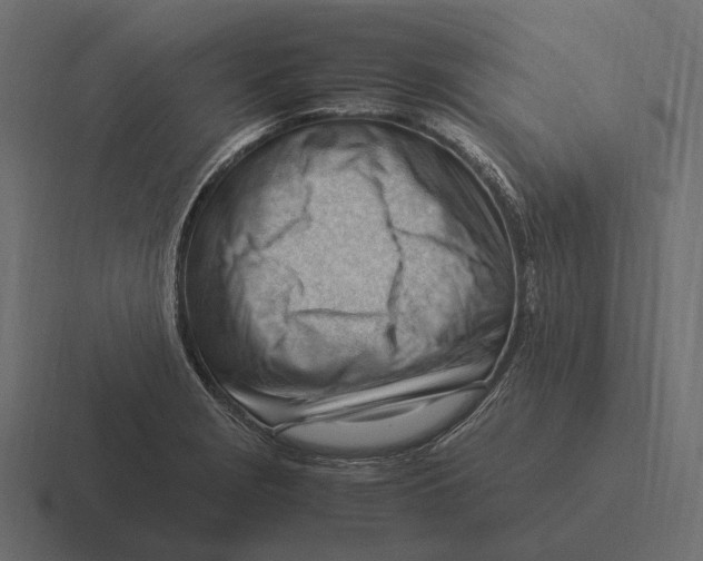 X0000116371229200912291704