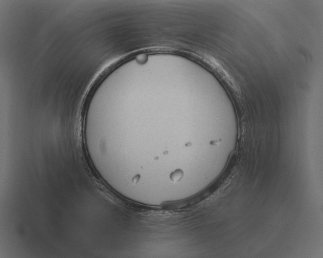 X0000116371232200912291704