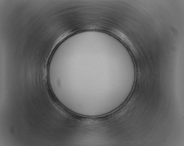 X0000116371234200912291704