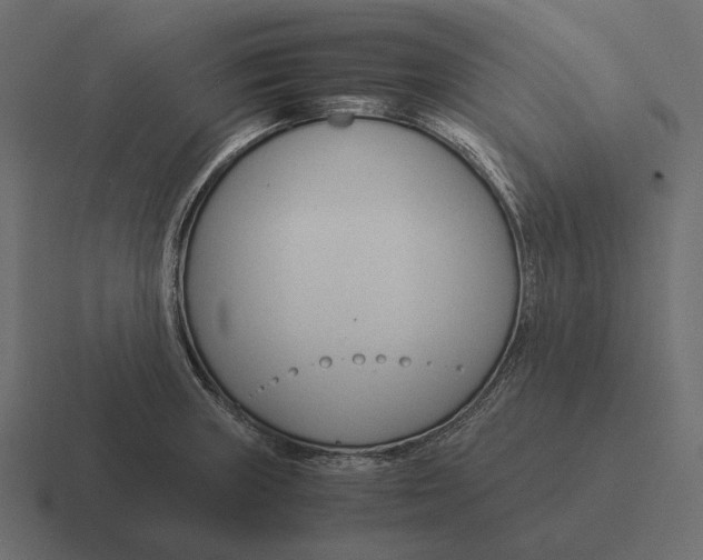 X0000116371235200912291704