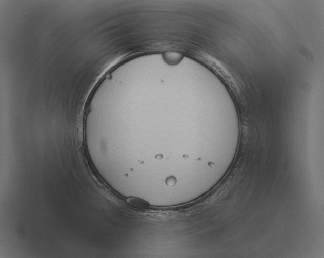 X0000116371236200912291704