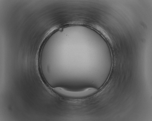 X0000116371237200912291704