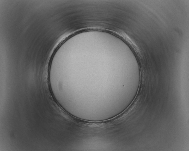 X0000116371240200912291704