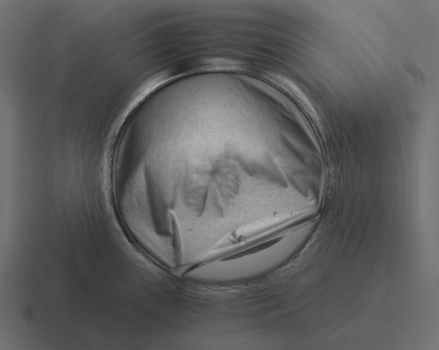 X0000116371243200912291704