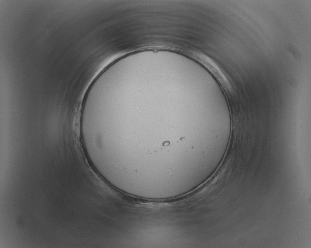 X0000116371244200912291704