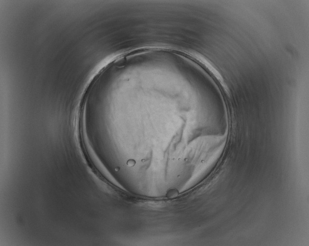 X0000116371245200912291704