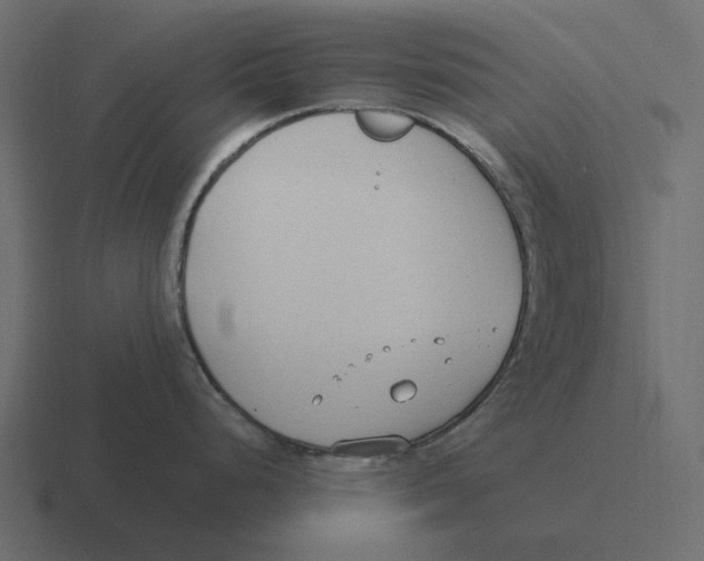 X0000116371248200912291704