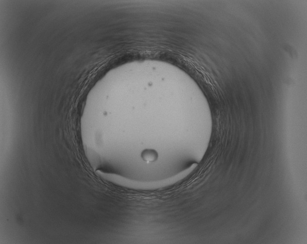 X0000116371249200912291704