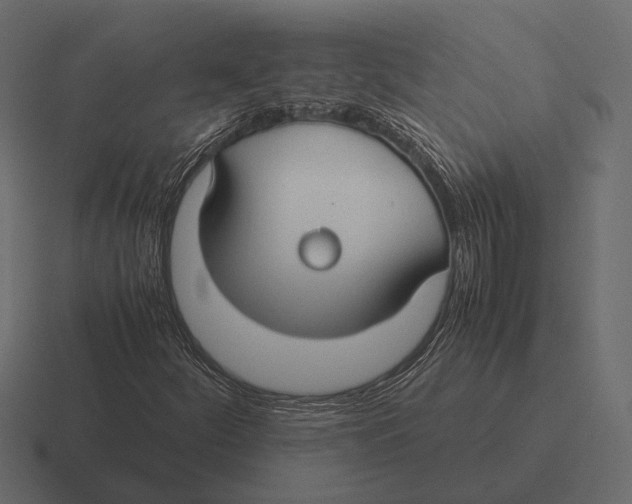 X0000116371252200912291703