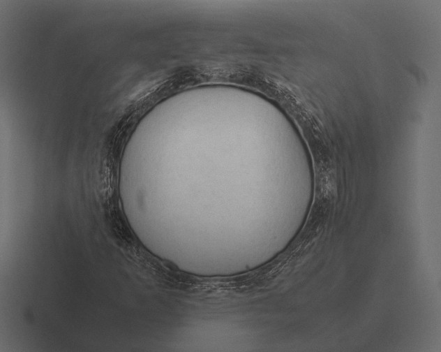 X0000116371253200912291703