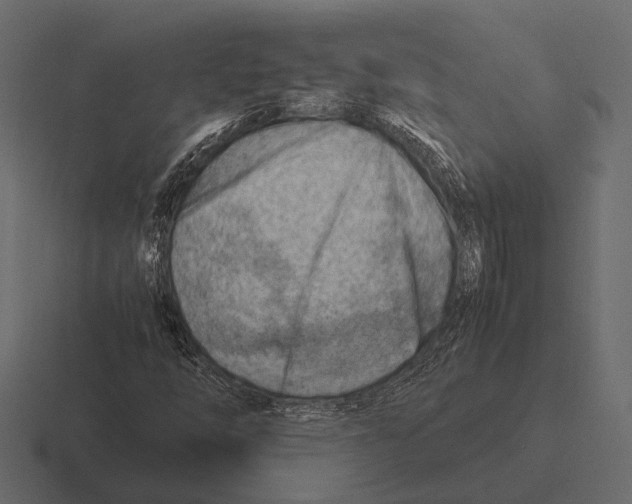 X0000116371254200912291703