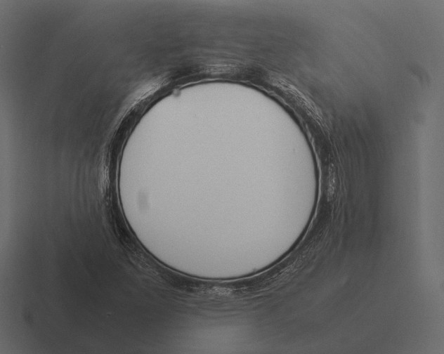 X0000116371261200912291703