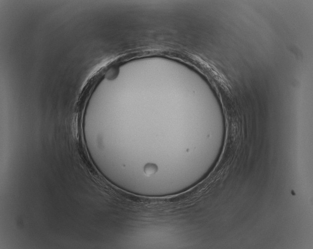 X0000116371262200912291703