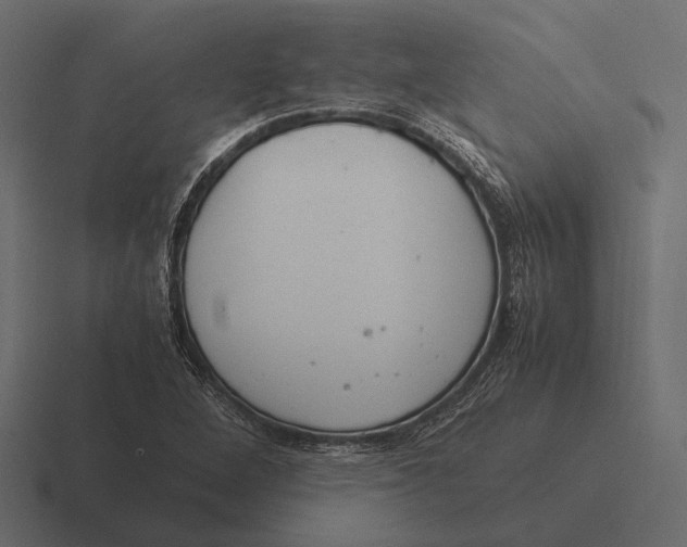 X0000116371264200912291703