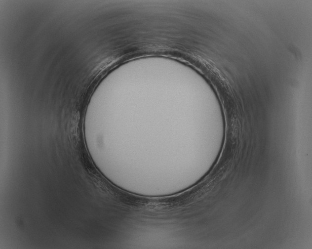 X0000116371265200912291703