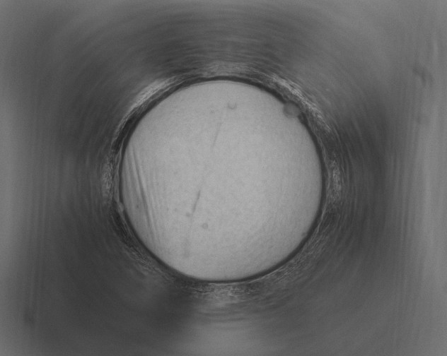 X0000116371266200912291703