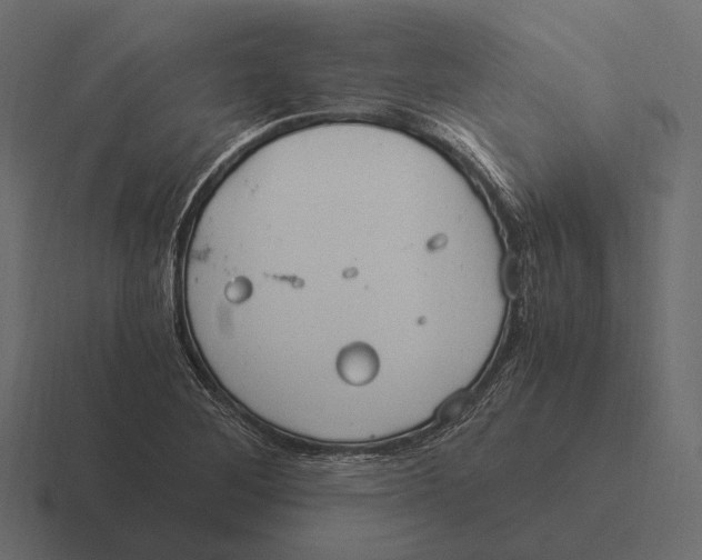 X0000116371268200912291703