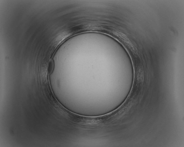 X0000116371273200912291703