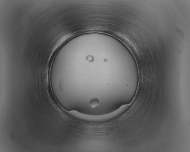 X0000116371274200912291703