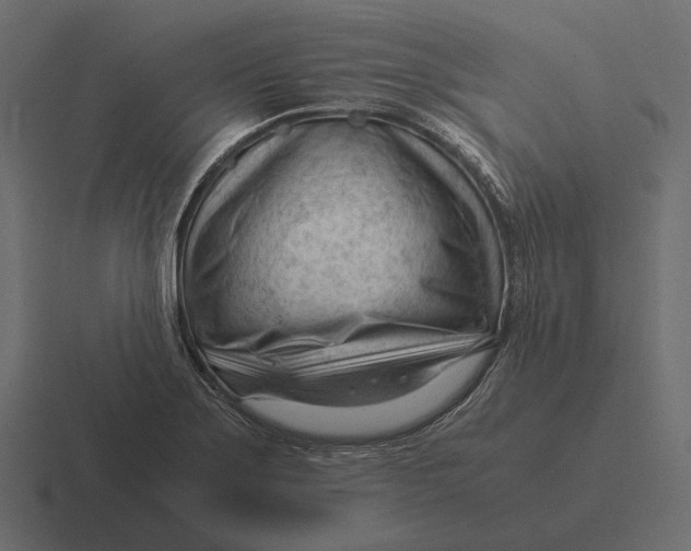 X0000116371275200912291703