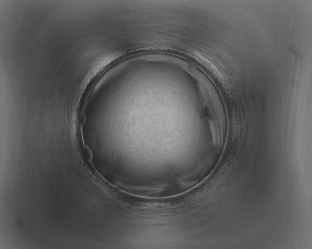 X0000116371277200912291703