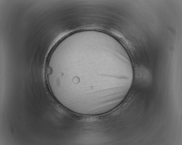 X0000116371278200912291703