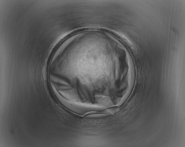 X0000116371279200912291703