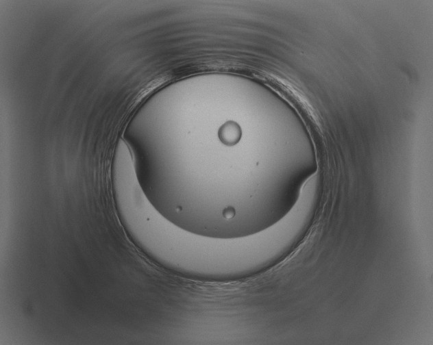 X0000116371281200912291703