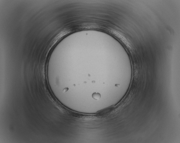 X0000116371282200912291703